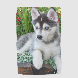 Serviette De Golf Créez Votre Propre Photo de Chien/Chat Personnalis