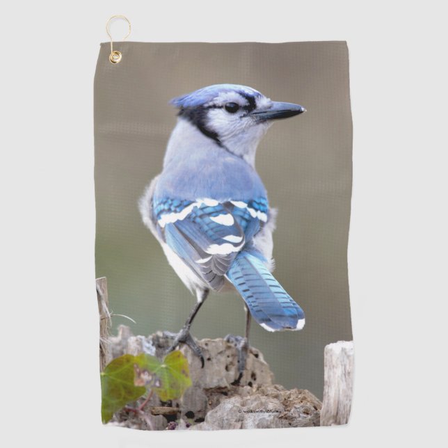 Serviette De Golf Cute Bleu Jay Songbird sur Treestump (Devant)