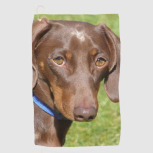 Serviette De Golf Dachshund