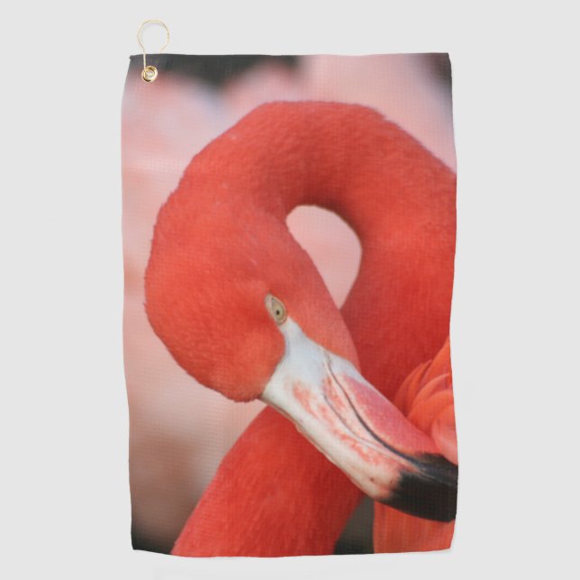 Serviette De Golf Flamant rose 001 (Devant)