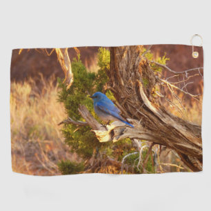 Serviette De Golf Merlebleu montagnard dans le parc national d'Arche