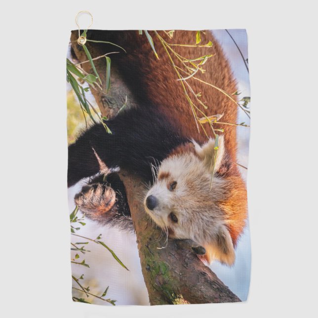 Serviette De Golf Petit panda rouge pâle (Devant)