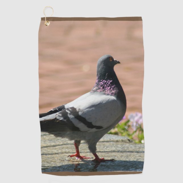 Serviette De Golf Photographie de pigeon (Devant)