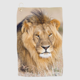 Serviette De Golf Portrait d'animal sauvage du lion majestueux