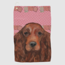 Setter rouge irlandais