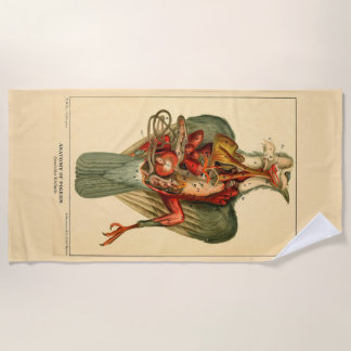 Serviette De Plage Anatomie d'un pigeon