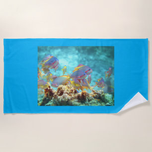 Serviette De Plage Anthias - École colorée de poissons à la barrière