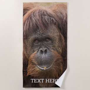 Serviette De Plage Belle photographie de Borneo Orangutan
