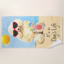 Caniche miniature d'été