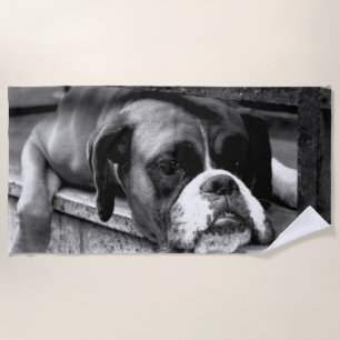 Serviette De Plage Chien de boîte sur Windows rebord btcna