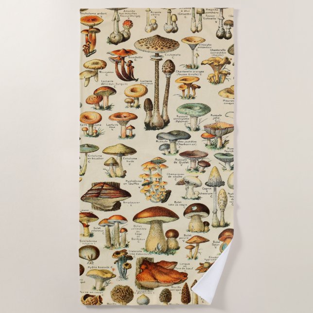 Serviette De Plage Collection de champignons     (Devant)