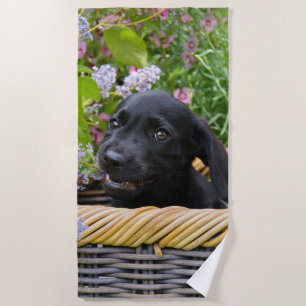 Serviette De Plage Cuisine Black Labrador Retriever Chien Chiot Chiot