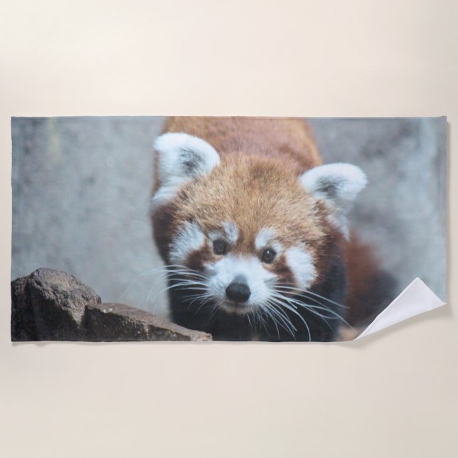 Serviette De Plage Cute (Devant)