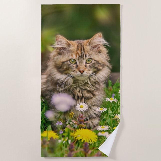 Serviette De Plage Cute Fluffy Maine Coon Kitten Chat en Fleurs Photo (Devant)