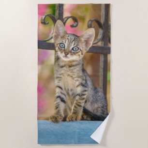 Serviette De Plage Cute Young Tabby Kitten aux yeux bleus dans un jar