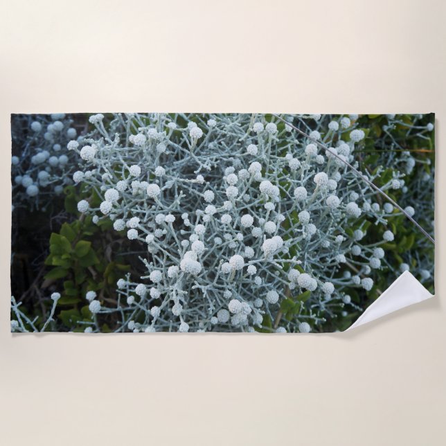 Serviette De Plage fotografiqqq uniqe beach towel (Devant)