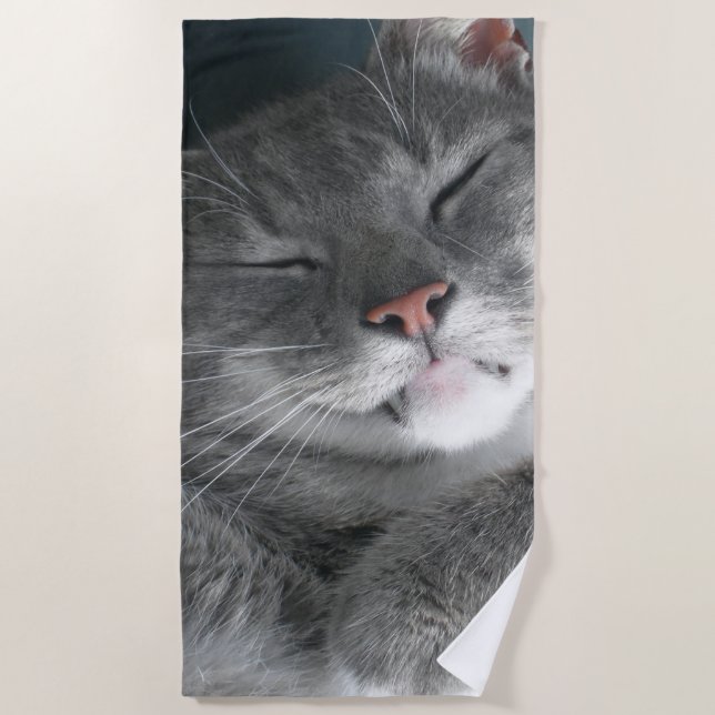 Serviette de plage grise mignonne de chat (Devant)