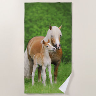 Serviette De Plage Haflinger Horse Cute Baby Foin Kiss Mum Pony Photo