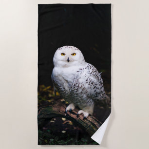 Serviette De Plage Hibou des neiges majestueux d'hiver