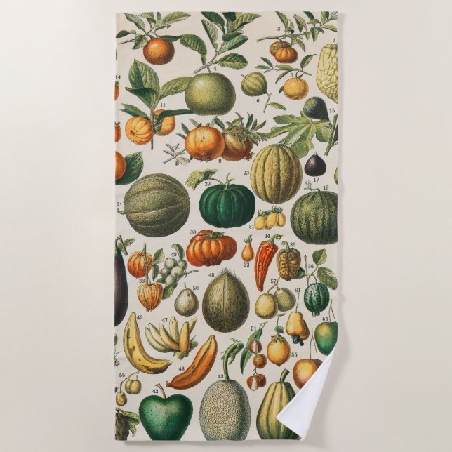 Serviette De Plage Illustration scientifique végétale des fruits (Devant)