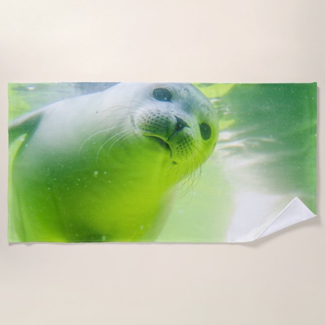 Serviette De Plage Joint (Devant)