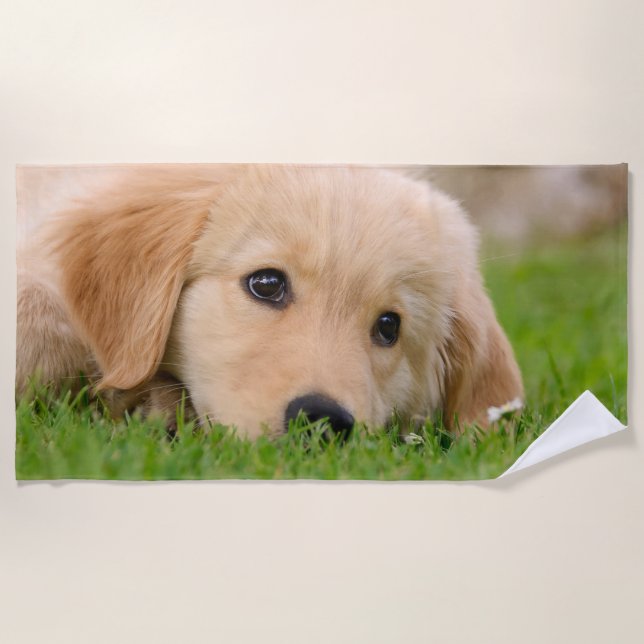 Serviette De Plage Le chiot mignon de golden retriever rêve la photo (Devant)