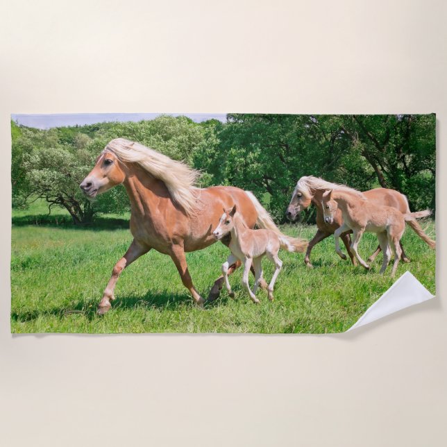 Serviette De Plage Les chevaux de Haflinger avec les poulains mignons (Devant)