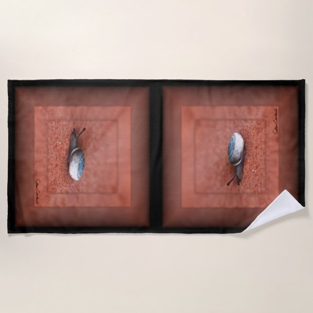 Serviette De Plage Macro Photograph of Snail on Terracotta (Devant)