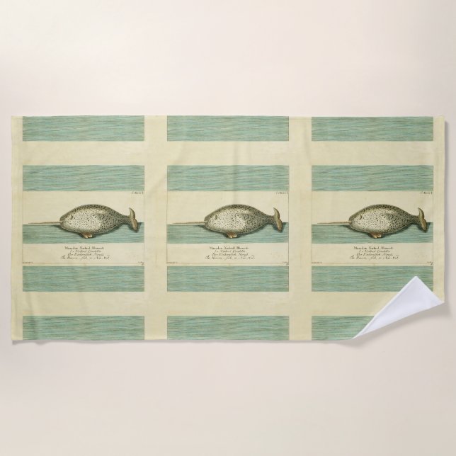 Serviette De Plage Narwhal Antique Baleine Aquarelle Art scientifique (Devant)