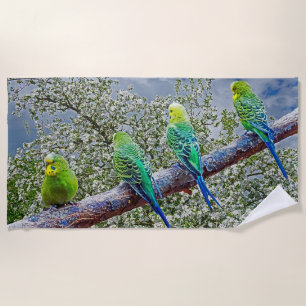 Serviette De Plage Oiseaux - perruches