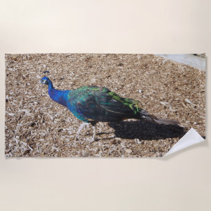 Serviette de plage Paon bleu indien