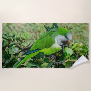 Serviette De Plage Perroquet vert