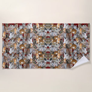 Serviette De Plage Point de rencontre des chats