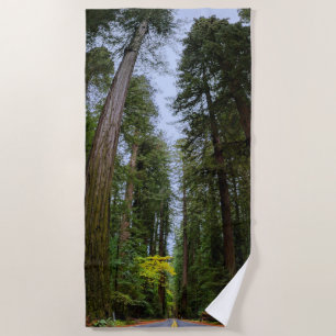 Serviette De Plage Route directe à travers la forêt de séquoias