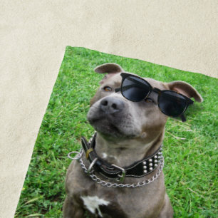 Serviette De Plage Staffordshire Bull Terrier Assis À L'Attention,