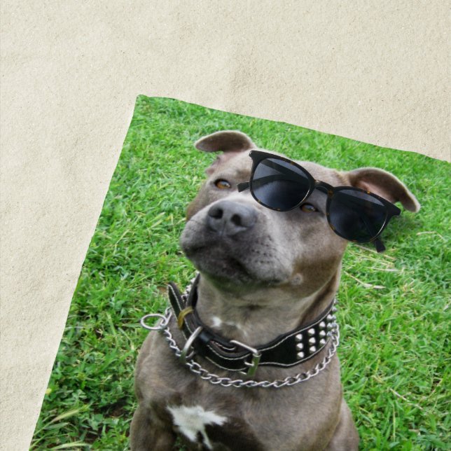 Serviette De Plage Staffordshire Bull Terrier Assis À L'Attention, (En situation)