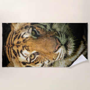 Serviette De Plage tigre