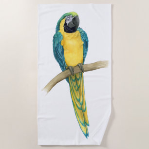 Serviette De Plage Turquoise Macaw