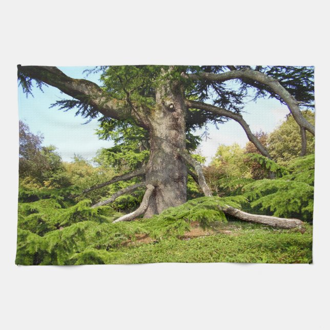 Serviette de thé d'arbre du Cèdre-de-Liban (Horizontal)