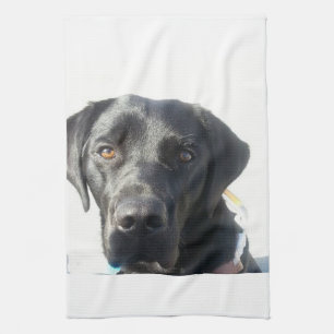 Serviette de thé noire de laboratoire