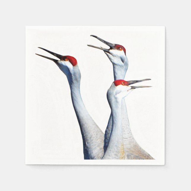 Serviette En Papier 3 Grues Sandhill Papier photo Naples (Devant)