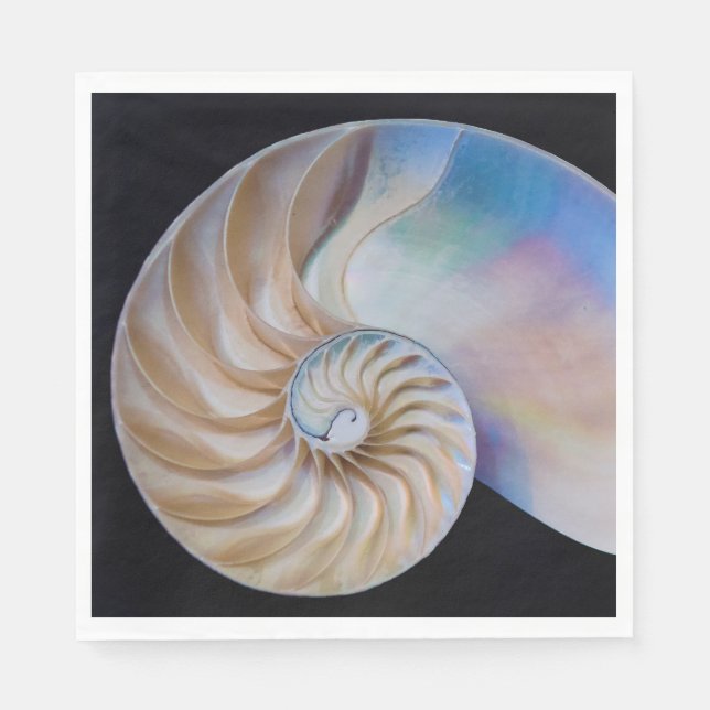 Serviette En Papier À L'Intérieur Du Nautilus (Devant)