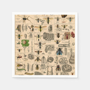 Serviette En Papier Abeille Insecte Bug Wasp Nature Peinture des abeil