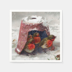 Serviette En Papier Abri de pot de fleurs pour les merles anglais