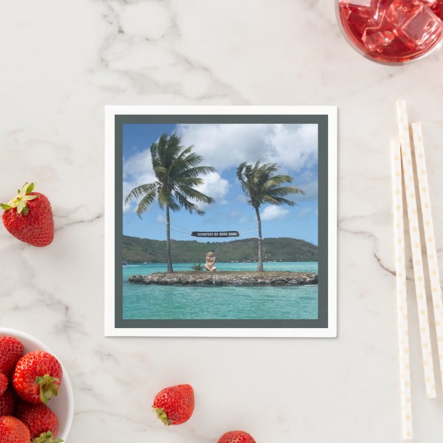 Serviette En Papier Aéroport de Bora Bora  (En situation)
