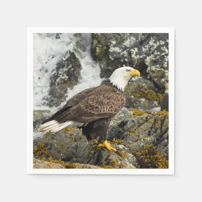 Serviette En Papier Aigle à tête blanche (Devant)
