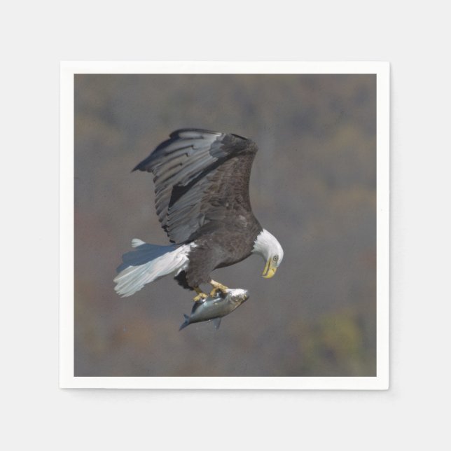 Serviette En Papier Aigle chauve regardant un poisson (Devant)