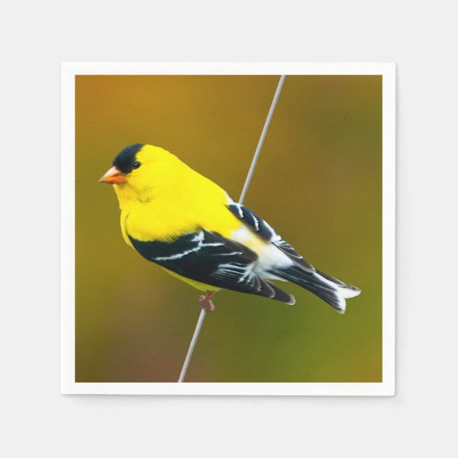 Serviette En Papier American Goldfinch - Photo originale (Devant)