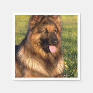 Serviette En Papier Amoureux des chiens Personnalisé Photo pour animal