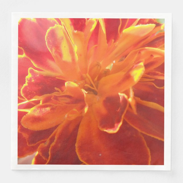 Serviette En Papier Anastaise (Devant)